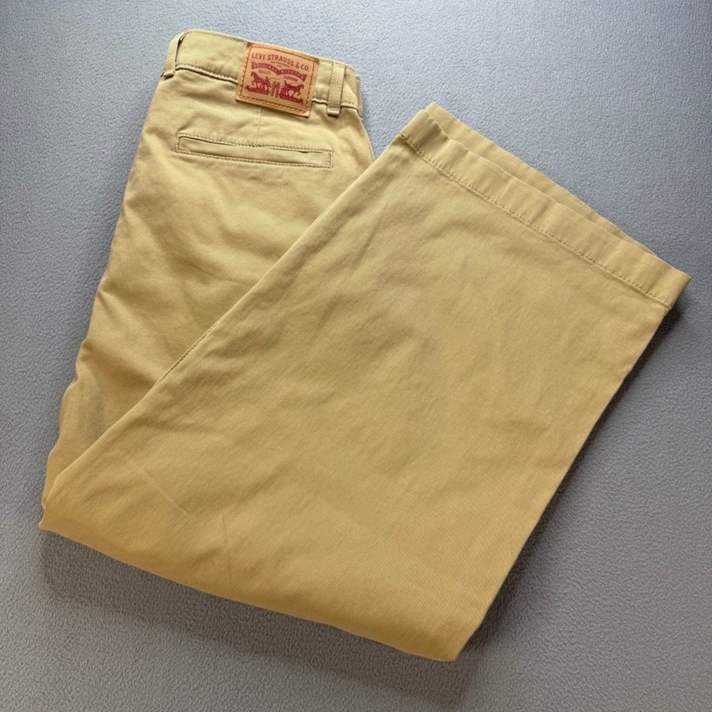 Levi Wide Leg Chino Pants Pleated Relaxed Size 31 (FIT 32) Stretch Baggy Loose